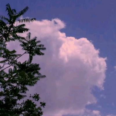 天博tb·综合体育