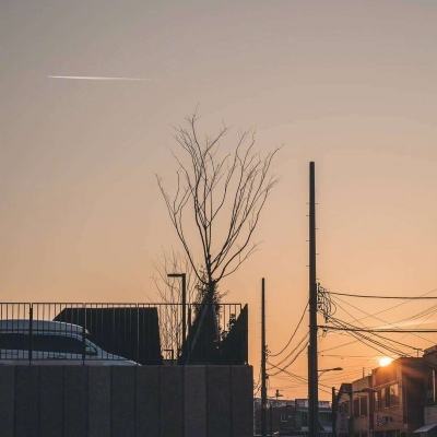 购彩中心app下载